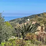 Borgo Toniasole